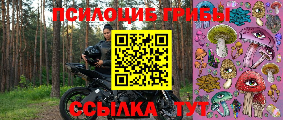 наркота  Галлюциногенные грибы ЛСД  Вход с VPN  Псилоцибиновые грибы прущие грибы  Углич 
