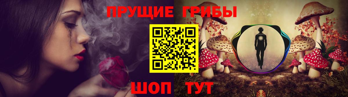 Галлюциногенные грибы прущие грибы Углич